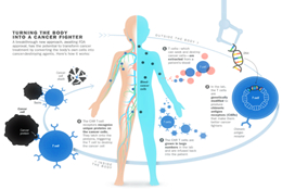 FDA approves Novartis' CD19-CART cell drug for marketing under the trade name Kymriah